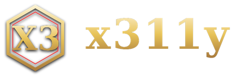 x311y logo